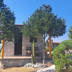 🏡 Cabaña Sencilla